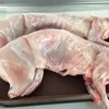 мясо кролика в Красном Сулине