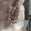 котлетное мясо свиное 75/25 от произв-ля в Ростове-на-Дону 2