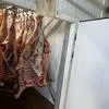 говядина корова тощак охл в Ростове-на-Дону 2