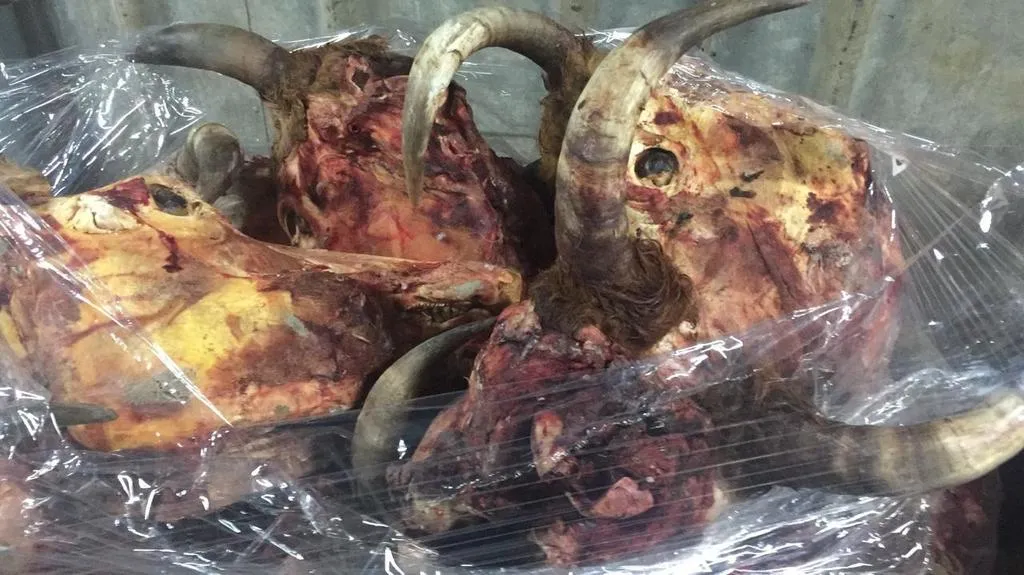 головы говяжьи без языка в Батайске