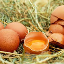 Производство яиц и молока снизилось в Ростовской области