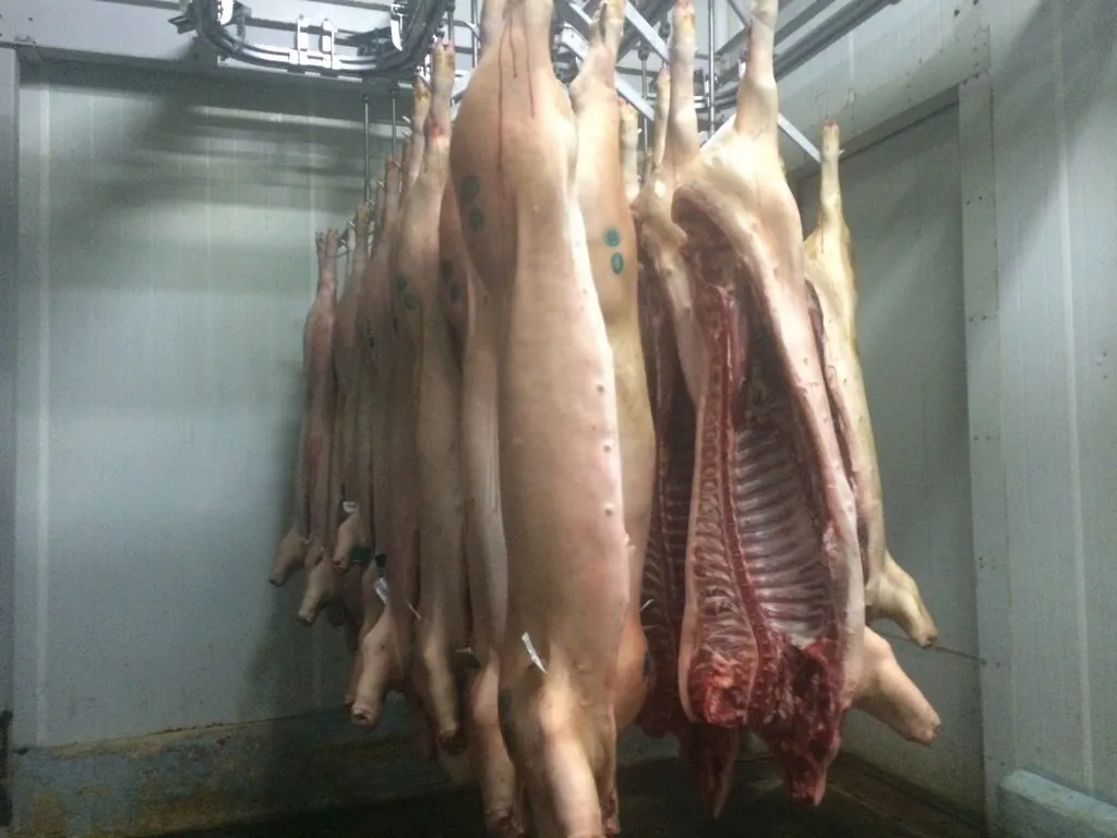 фотография продукта свинина полутуши 1,2кат