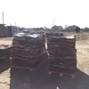  Шкуры КРС большие объёмы от 20 тонн в Ростове-на-Дону 2