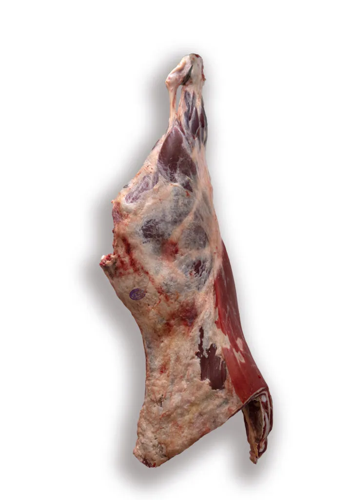 фотография продукта мясо говядины на кости, полутуши