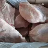 мясо индейки - в Ульяновске в Ростове-на-Дону 3