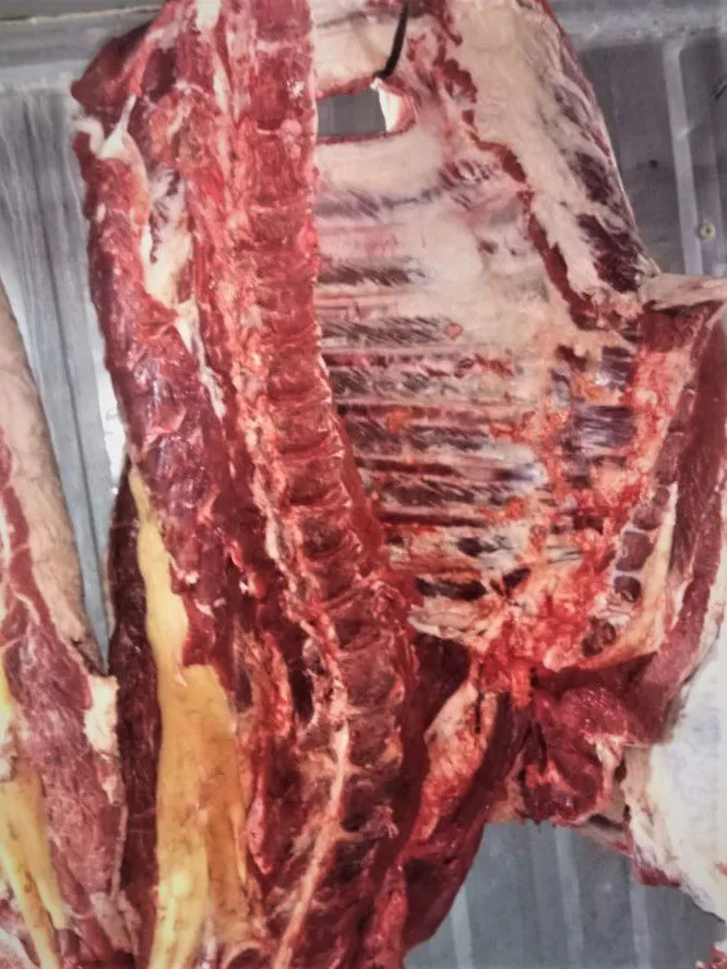 фотография продукта мясо говядины оптом от производителя