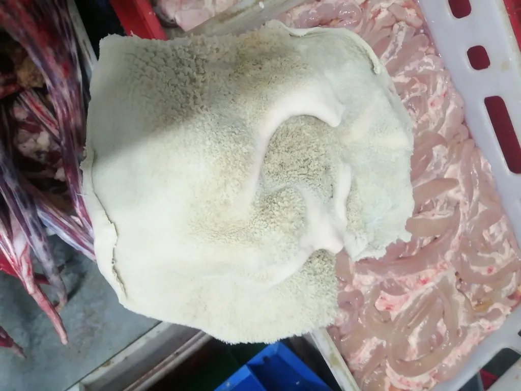 фотография продукта Рубец говяжий очищенный
