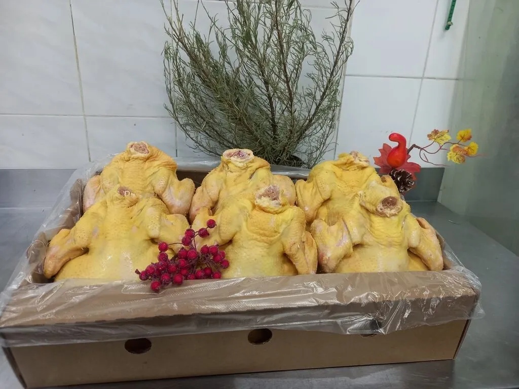 домашняя курица из Кабардино-Балкарии в Ростове-на-Дону и Ростовской области 3