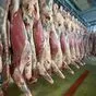 мясо говядина (корова) охл 1-2 кат в Ростове-на-Дону и Ростовской области