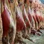 мясо говядина (корова) охл 1-2 кат в Ростове-на-Дону и Ростовской области 2